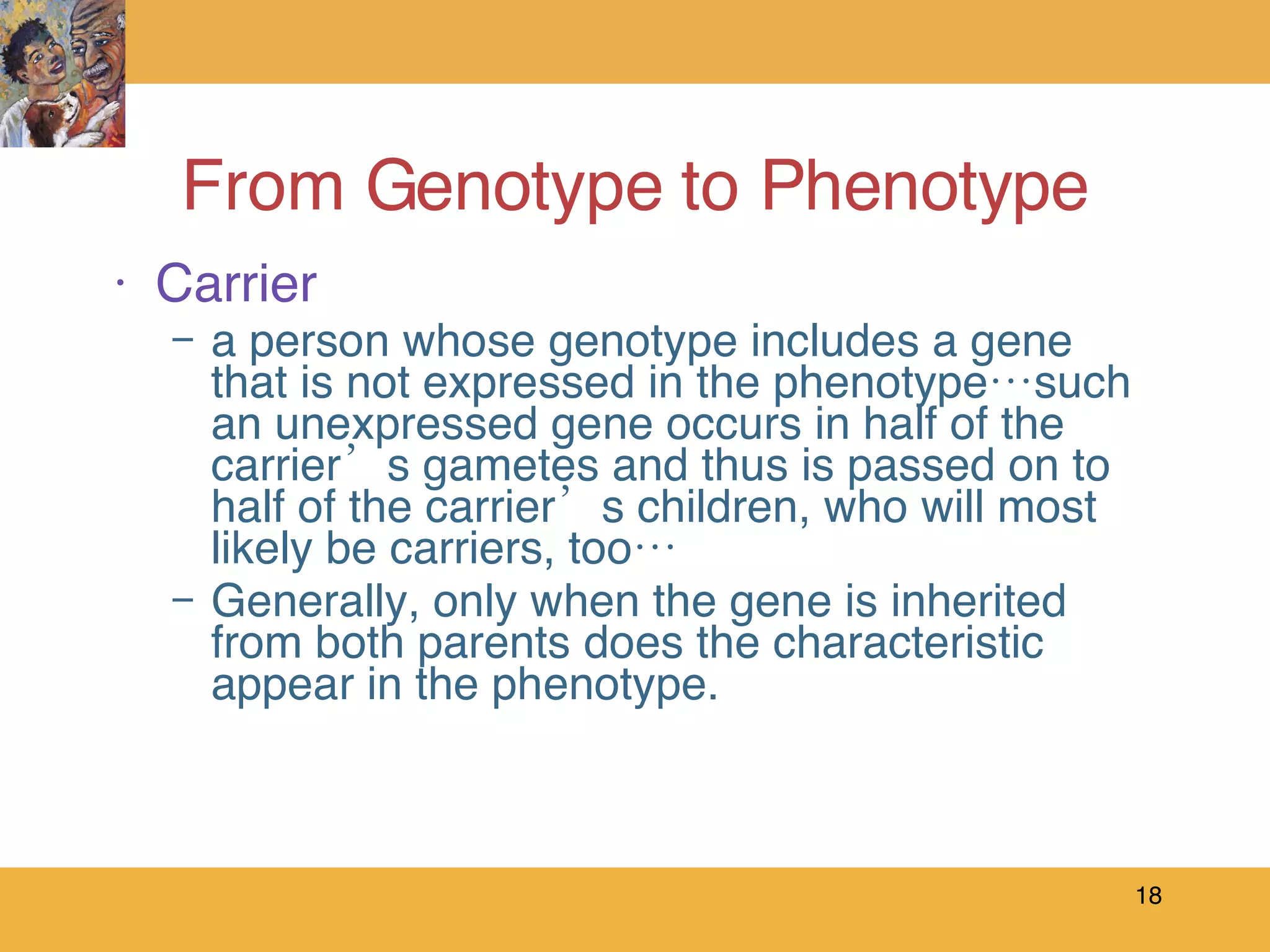 From Genotype to Phenotype Carrier a person whose genotype includes a gene that is not expressed in the phenotype…such an unexpressed gene occurs in half of the carrier’s gametes and thus is passed on to half of the carrier’s children, who will most likely be carriers, too… Generally, only when the gene is inherited from both parents does the characteristic appear in the phenotype. 