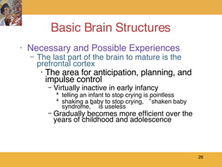Basic Brain Structures  ,[object Object],[object Object],[object Object],[object Object],[object Object],[object Object],[object Object]