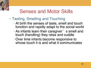 Senses and Motor Skills ,[object Object],[object Object],[object Object],[object Object]