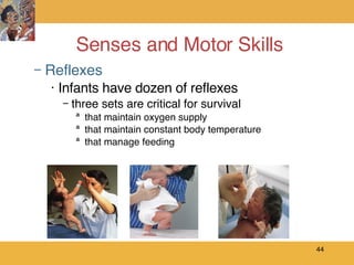 Senses and Motor Skills ,[object Object],[object Object],[object Object],[object Object],[object Object],[object Object]