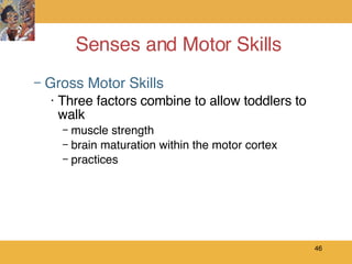 Senses and Motor Skills ,[object Object],[object Object],[object Object],[object Object],[object Object]