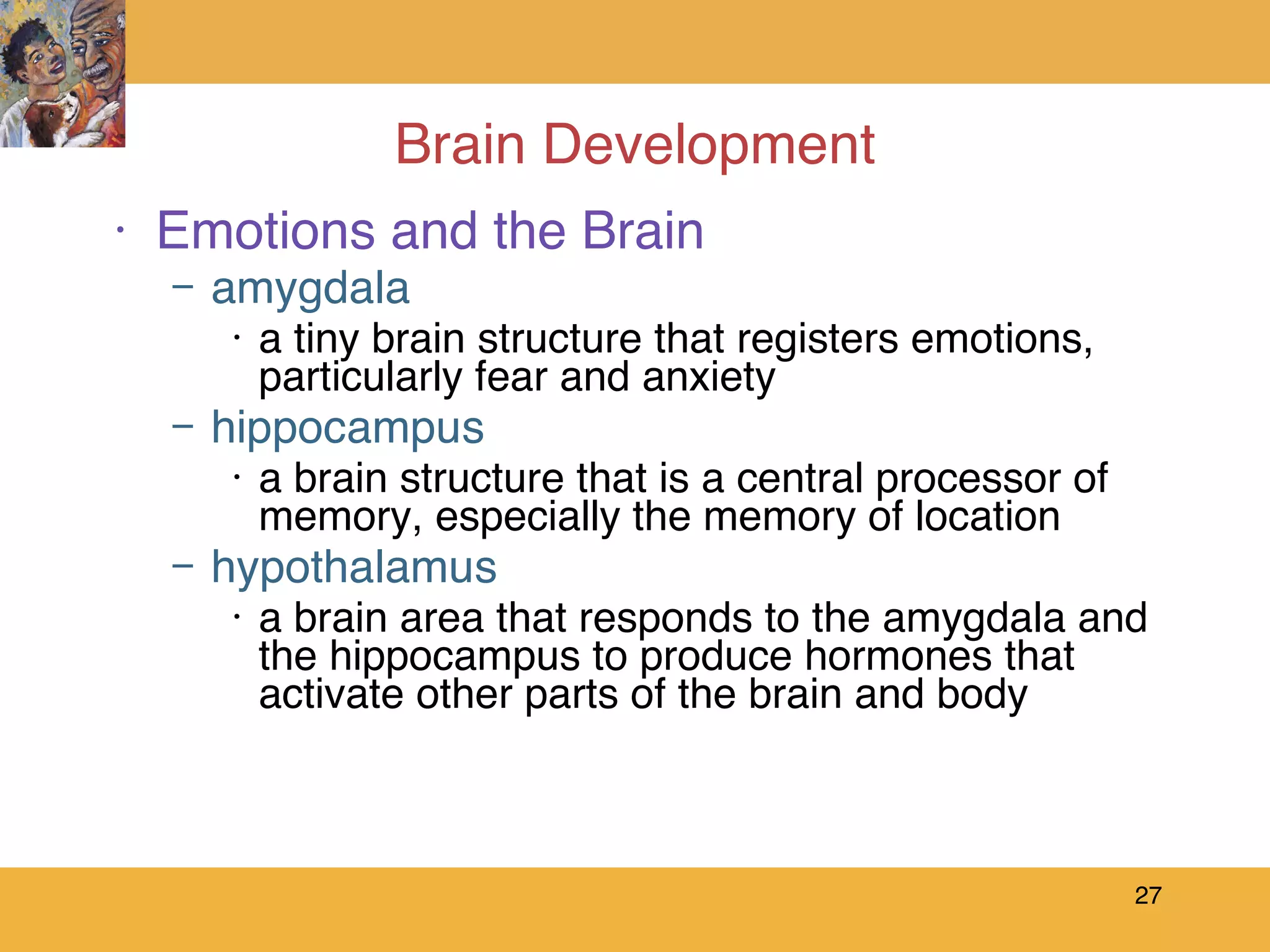 Brain Development Emotions and the Brain amygdala a tiny brain structure that registers emotions, particularly fear and anxiety hippocampus a brain structure that is a central processor of memory, especially the memory of location hypothalamus a brain area that responds to the amygdala and the hippocampus to produce hormones that activate other parts of the brain and body 