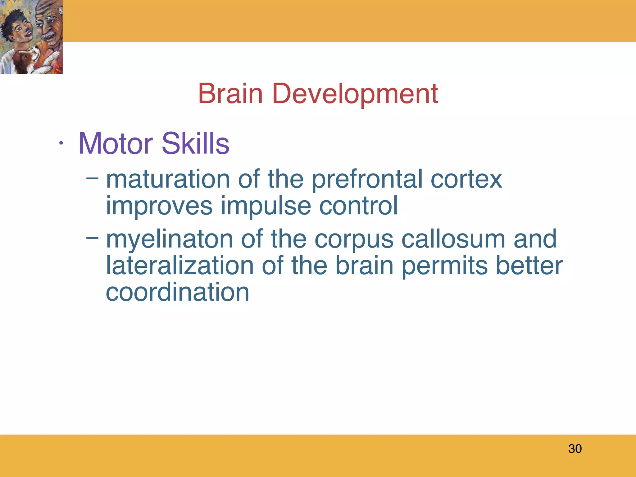 Brain Development Motor Skills maturation of the prefrontal cortex improves impulse control myelinaton of the corpus callosum and lateralization of the brain permits better coordination 