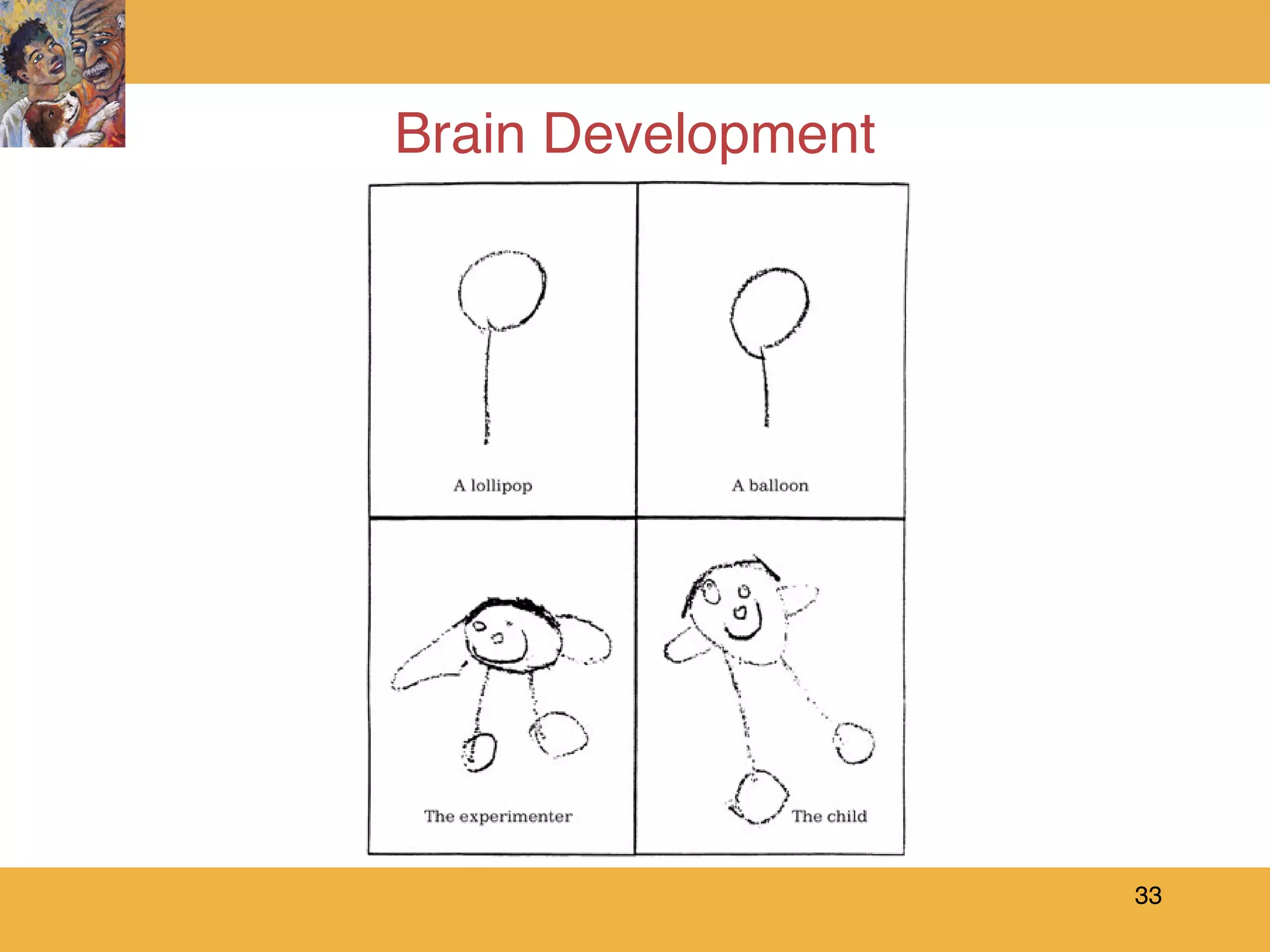 Brain Development 