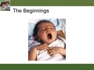 The Beginnings 