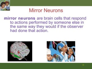 Mirror Neurons mirror neurons   are brain cells that respond to actions performed by someone else in the same way they would if the observer had done that action. 