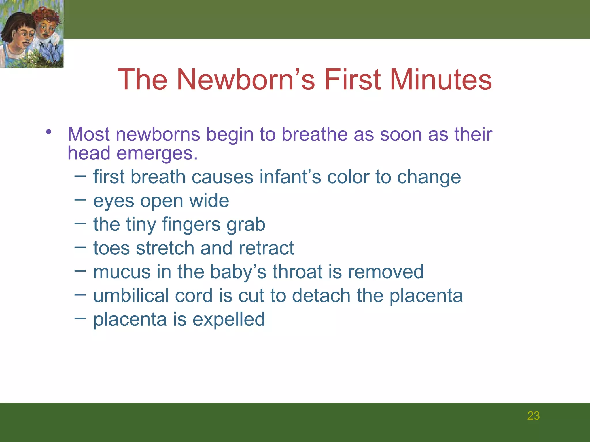 The Newborn’s First Minutes Most newborns begin to breathe as soon as their head emerges. first breath causes infant’s color to change eyes open wide  the tiny fingers grab  toes stretch and retract mucus in the baby’s throat is removed umbilical cord is cut to detach the placenta placenta is expelled 