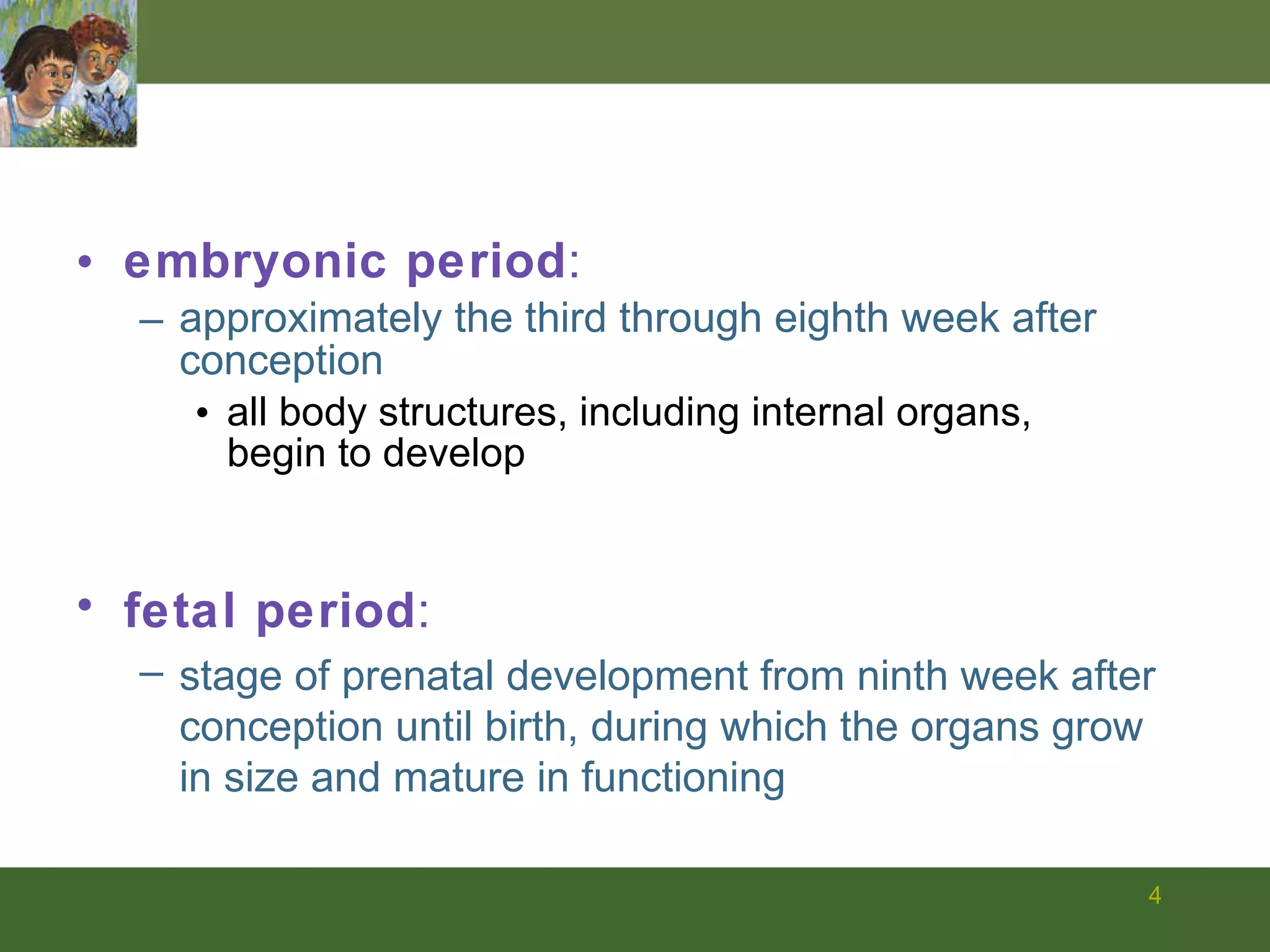 embryonic period :  approximately the third through eighth week after conception  all body structures, including internal organs, begin to develop fetal period :  stage of prenatal development from ninth week after conception until birth, during which the organs grow in size and mature in functioning 