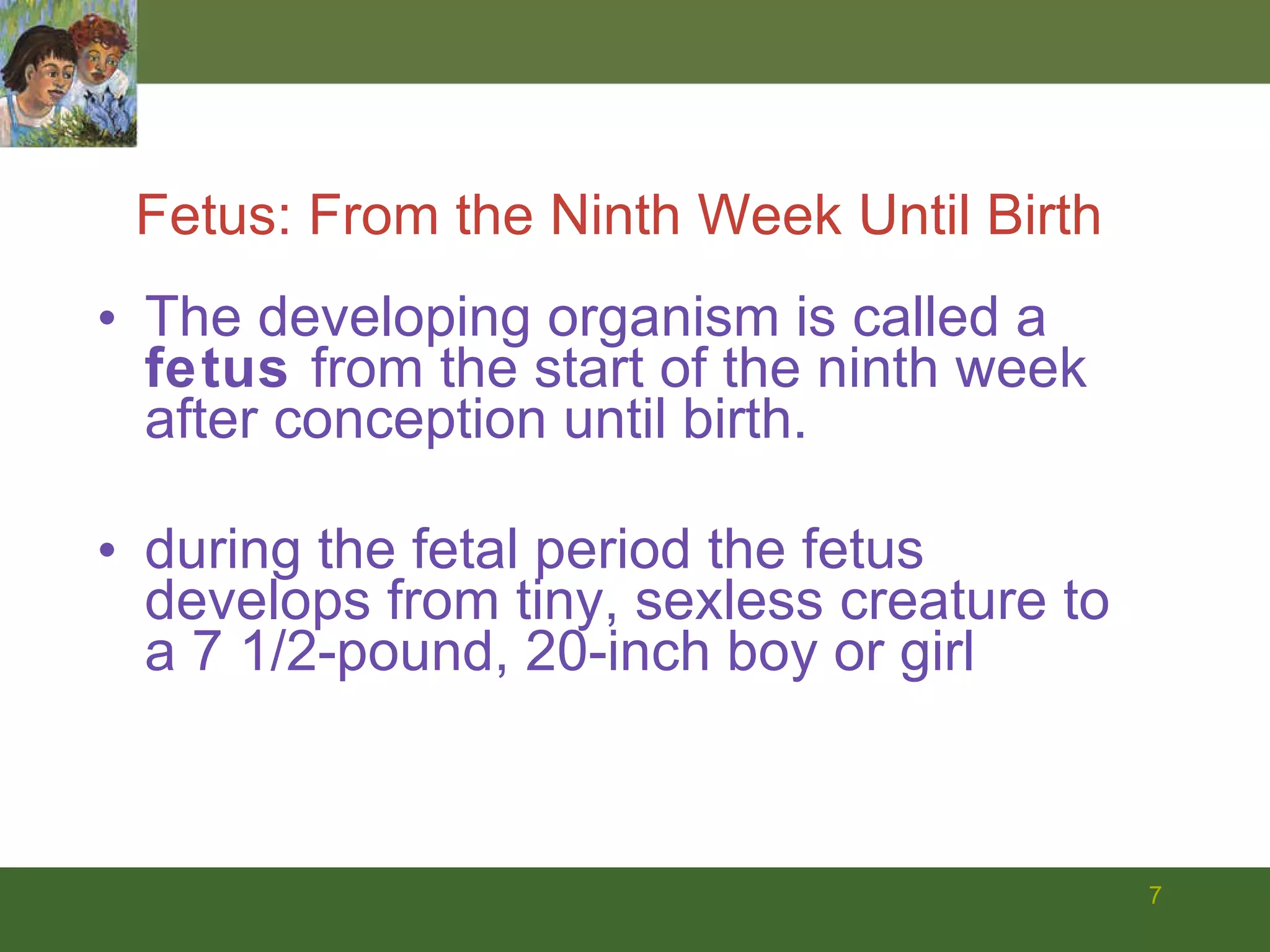 The developing organism is called a  fetus  from the start of the ninth week after conception until birth.  during the fetal period the fetus develops from tiny, sexless creature to a 7 1/2-pound, 20-inch boy or girl Fetus: From the Ninth Week Until Birth 