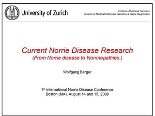 Current Norrie Disease Research