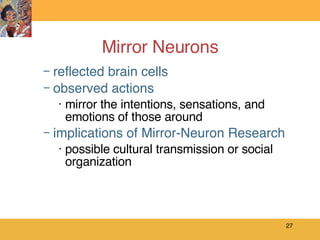 Mirror Neurons reflected brain cells observed actions mirror the intentions, sensations, and emotions of those around implications of Mirror-Neuron Research possible cultural transmission or social organization 