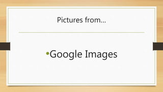 Pictures from… 
•Google Images 
