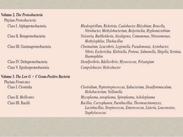 Bergey S Manual Of Systematic Bacteriology