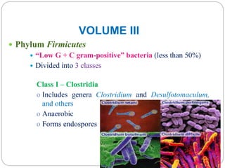 VOLUME III
 Phylum Firmicutes
 “Low G + C gram-positive” bacteria (less than 50%)
 Divided into 3 classes
Class I – Clostridia
o Includes genera Clostridium and Desulfotomaculum,
and others
o Anaerobic
o Forms endospores
 