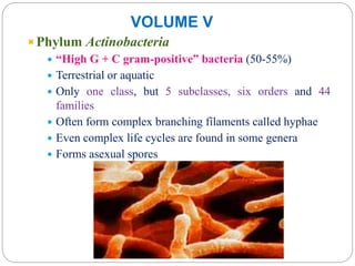 VOLUME V
Phylum Actinobacteria
 “High G + C gram-positive” bacteria (50-55%)
 Terrestrial or aquatic
 Only one class, but 5 subclasses, six orders and 44
families
 Often form complex branching filaments called hyphae
 Even complex life cycles are found in some genera
 Forms asexual spores
 
