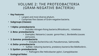 VOLUME 2: THE PROTEOBACTERIA
(GRAM-NEGATIVE BACTERIA)
• Key Features:
• Largest and most diverse phylum.
• Comprises five classes of Gram-negative bacteria.
• Subgroups (Classes):
• 1 Alpha- proteobacteria
• Includes nitrogen-fixing bacteria (Rhizobium) , rickettsias
• 2. Beta- proteobacteria
• Examples: Neisseria ( causes gonorrhea ) , Bordetella (causes
pertussis).
• 3. Gamma- proteobacteria
• Includes Escherichia coli, Pseudomonas, Salmonella.
• 4. Delta- proteobacteria
• Sulfate -reducing bacteria, predatory bacteria like Bdellovibrio .
• 5. Epsilon- proteobacteria
• Pathogens like Helicobacter pylori, Campylobacter.
• Ecological Roles:
 