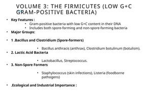 VOLUME 3: THE FIRMICUTES (LOW G+C
GRAM-POSITIVE BACTERIA)
• Key Features :
• Gram-positive bacteria with low G+C content in their DNA
• Includes both spore-forming and non-spore-forming bacteria
• Major Groups:
• 1 .Bacillus and Clostridium (Spore-formers)
• Bacillus anthracis (anthrax), Clostridium botulinum (botulism).
• 2. Lactic Acid Bacteria
• Lactobacillus, Streptococcus.
• 3. Non-Spore Formers
• Staphylococcus (skin infections), Listeria (foodborne
pathogens)
• .Ecological and Industrial Importance :
 