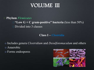 VOLUME III
Phylum Firmicutes
“Low G + C gram-positive” bacteria (less than 50%)
Divided into 3 classes
Class I – Clostridia
o Includes genera Clostridium and Desulfotomaculum and others
o Anaerobic
o Forms endospores
 