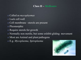 Class II – Mollicutes
o Called as mycoplasmas
o Lack cell wall
o Cell membrane –sterols are present
o Pleomorphic
o Require sterols for growth
o Normally non motile, but some exhibit gliding movement
o Most are Animal and plant pathogens
o E.g. Mycoplasma, Spiroplasma
 