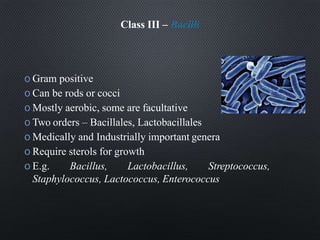 Class III – Bacilli
o Gram positive
o Can be rods or cocci
o Mostly aerobic, some are facultative
o Two orders – Bacillales, Lactobacillales
o Medically and Industrially important genera
o Require sterols for growth
o E.g. Bacillus, Lactobacillus, Streptococcus,
Staphylococcus, Lactococcus, Enterococcus
 