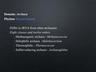 Domain: Archaea
Phylum Euryarchaeota
Differ in rRNA from other archaeans
Eight classes and twelve orders
Methanogenic archaea - Methanococcus
Halophilic archaea -Halobacterium
Thermophilic - Thermococcus
Sulfur-reducing archaea - Archaeoglobus
 