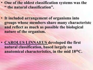 Bergey’s manual of bacterial classification | PPTX