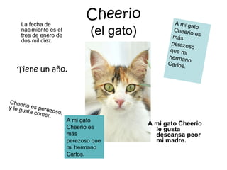 Cheerio (el gato) A mi gato Cheerio le gusta descansa peor mi madre. La fecha de nacimiento es el tres de enero de dos mil diez. Tiene un año. Cheerio es perezoso, y le gusta comer. A mi gato Cheerio es más perezoso que mi hermano Carlos. A mi gato Cheerio es más perezoso que mi hermano Carlos. 