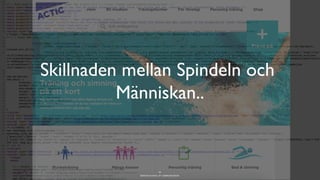 BERGHS SCHOOL OF COMMUNICATION
Skillnaden mellan Spindeln och
Människan..
25
 