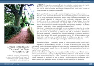 AMBIENTE. No hay más o menos apto. El éxito de un individuo o población dependerá casi de
forma exclusiva de las condiciones ambientales del momento: alimentación, clima…
Así que un individuo depende del ambiente (incluyendo otros seres vivos), basando su
supervivencia en las condiciones de ese medio.
Por lo que valorando las premisas de la teoría sintética y los contraargumentos vemos que:
Individuo frente al ambiente: los recientes descubrimientos en genética están demostrando
que no es tan importante el determinismo genético, y que nuestro material hereditario tiene
una increíble capacidad de adaptación a las condiciones ambientales. Véanse los
descubrimientos de los mecanismos de regulación de la expresión genética que demuestran
que existen una serie de mecanismos para impedir la lectura de un determinado gen en
función de los cambios del ambiente. Sería por tanto una regulación “desde fuera”, no desde el
individuo o “desde dentro” como se proponía hasta hace muy poco.
Así mismo, y muy estrechamente relacionado con esto, los avances en epigenética demuestran
que las modificaciones en la expresión del material hereditario no son al azar, sino favorecidas
por mecanismos de plegamientos y metilación del ADN en respuesta a determinadas
influencias ambientales. Estos dos procesos están relacionados con la función que desarrolla el
hasta ahora llamado “ADN basura”, que constituye más del 90% del genoma y del que se
desconocía hasta hace poco su papel en la célula. En realidad parece que es el verdadero
“director de la orquesta” del resto de genes encargados de la formación de proteínas.
Competencia frente a cooperación: aunque M. Sandín arremete contra la visión de la
competencia en las relaciones naturales, ya el propio Darwin admitía que existen otras
relaciones de cooperación, porque sencillamente es un mecanismo próspero evolutivamente hablando.
Así mismo, la teoría sintética ha acuñado el término de selección de parentesco o selección familiar para
explicar los casos de altruismo.
Evidentemente no todos los biólogos tiene las mismas posturas, hay científicos que son todavía reacios a
admitir visiones intermedias o que incluso adoptan posturas más extremistas. Desde el punto de vista de
la cooperación destacan: Lynn Margulis y James Lovelock. De igual modo, hay otras posturas que se
centran únicamente en el individuo, es más, lo reducen a la mínima expresión, proponiendo que el
material genético es el protagonista de todos los procesos: Richard Dawkins con su “gen egoísta”.
BERGIDUM · V ÉPOCA · Nº2
REPLANTEANDO EL DARWINISMO
130
Sendero conocido como
“Sandwalk” en Down
House (Kent. GB)
Este es el sendero donde Darwin
paseaba todos los días, el lugar de
sus meditaciones donde surgió la
teoría de la selección natural
 