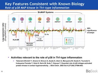 Key Features Consistent with Known Biology Role of p38 MAP kinase in Th1-type inflammation Log expression ratio (Drug/DMSO control) HLA-DR Activities relevant to the role of p38 in Th1-type inflammation Takanami-Ohnishi Y, Amano S, Kimura S, Asada S, Utani A, Maruyama M, Osada H, Tsunoda H, Irukayama-Tomobe Y, Goto K, Karin M, Sudo T, Kasuya Y. Essential role of p38 mitogen-activated protein kinase in contact hypersensitivity.  J Biol Chem. 2002 Oct 4;277(40):37896-903.  CD38 T cell activation Monocyte activation IL-8 IL-1  99%  significance  envelope BioMAP Systems 