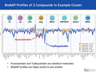 BioMAP Profiles of 2 Compounds in Example Cluster Pyraclostrobin and Tryfloxystrobin are strobilium herbicides BioMAP profiles are highly similar to one another Tryfloxystrobin Pyraclostrobin Pyraclostrobin, 13.33   M Pyraclostrobin, 4.44   M Pyraclostrobin, 1.48   M Tryfloxystrobin, 40   M Tryfloxystrobin, 13.33   M Tryfloxystrobin, 4.44   M 