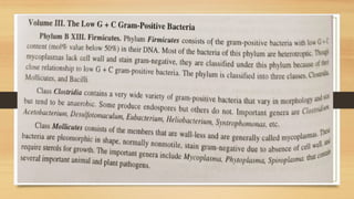 Bergys manual Bacteria used for bacteriaal classification | PPTX