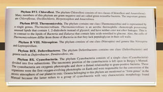 Bergys manual Bacteria used for bacteriaal classification | PPTX