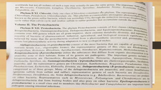 Bergys manual Bacteria used for bacteriaal classification | PPTX
