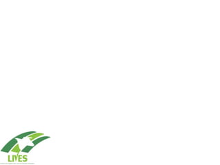 Value chain concepts: Perspective from LIVES   