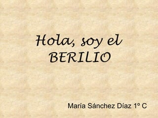 Hola, soy el  BERILIO María Sánchez Díaz 1º C 