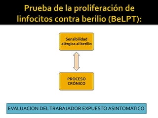 Prueba de la proliferación de linfocitos contra berilio (BeLPT):EVALUACION DEL TRABAJADOR EXPUESTO ASINTOMÁTICO