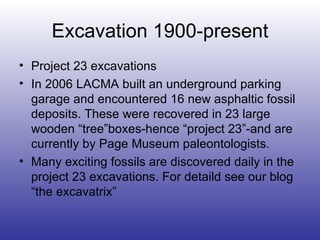Excavation 1900-present Project 23 excavations  In 2006 LACMA built an underground parking garage and encountered 16 new asphaltic fossil deposits. These were recovered in 23 large wooden “tree”boxes-hence “project 23”-and are currently by Page Museum paleontologists. Many exciting fossils are discovered daily in the project 23 excavations. For detaild see our blog “the excavatrix”  