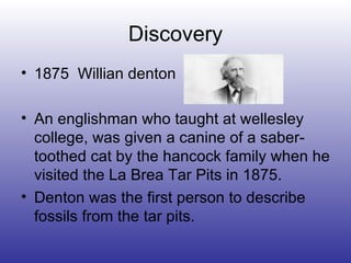 Discovery 1875  Willian denton  An englishman who taught at wellesley college, was given a canine of a saber-toothed cat by the hancock family when he visited the La Brea Tar Pits in 1875. Denton was the first person to describe fossils from the tar pits. 