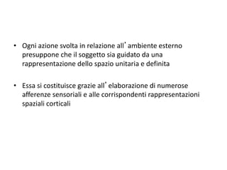 • Ogni azione svolta in relazione all’ambiente esterno
presuppone che il soggetto sia guidato da una
rappresentazione dello spazio unitaria e definita
• Essa si costituisce grazie all’elaborazione di numerose
afferenze sensoriali e alle corrispondenti rappresentazioni
spaziali corticali
 