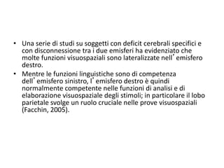 • Una serie di studi su soggetti con deficit cerebrali specifici e
con disconnessione tra i due emisferi ha evidenziato che
molte funzioni visuospaziali sono lateralizzate nell’emisfero
destro.
• Mentre le funzioni linguistiche sono di competenza
dell’emisfero sinistro, l’emisfero destro è quindi
normalmente competente nelle funzioni di analisi e di
elaborazione visuospaziale degli stimoli; in particolare il lobo
parietale svolge un ruolo cruciale nelle prove visuospaziali
(Facchin, 2005).
 