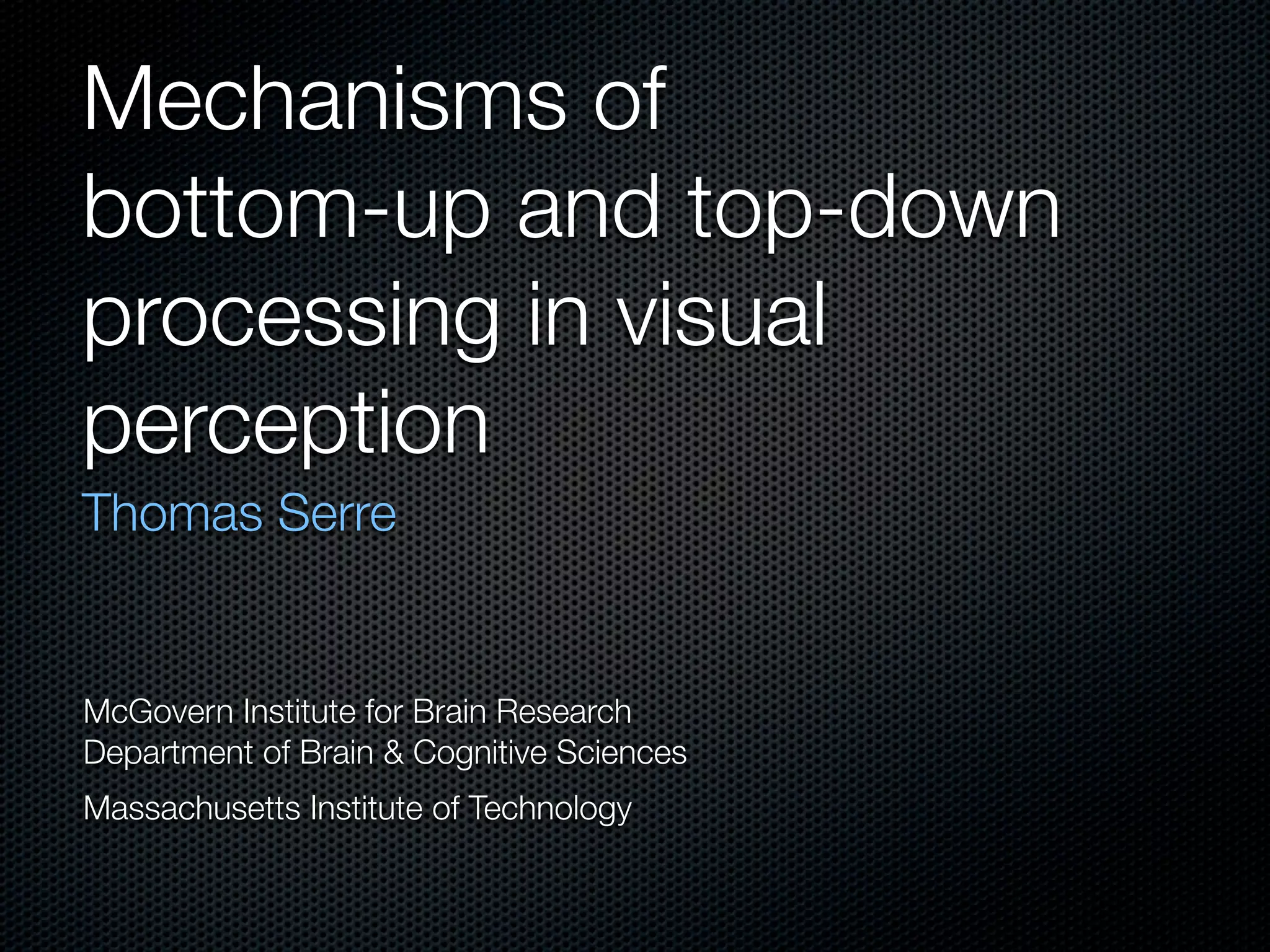 Mechanisms of bottom-up and top-down processing in visual perception