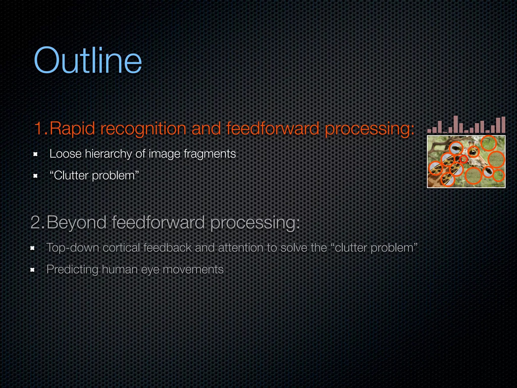 Mechanisms of bottom-up and top-down processing in visual perception