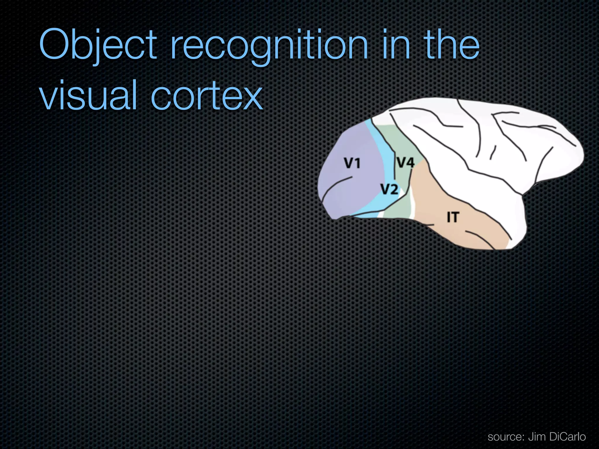 Mechanisms of bottom-up and top-down processing in visual perception