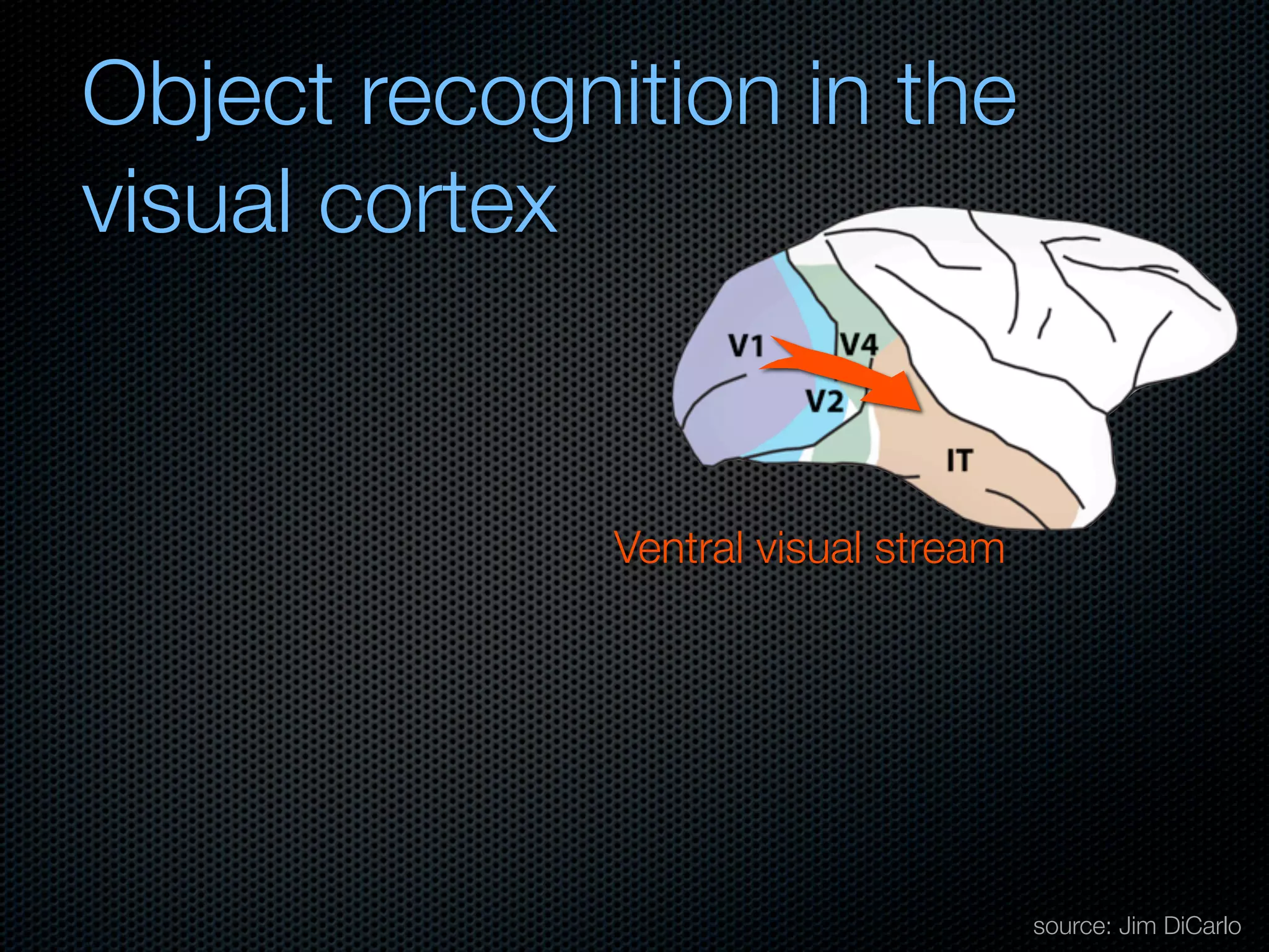 Mechanisms of bottom-up and top-down processing in visual perception