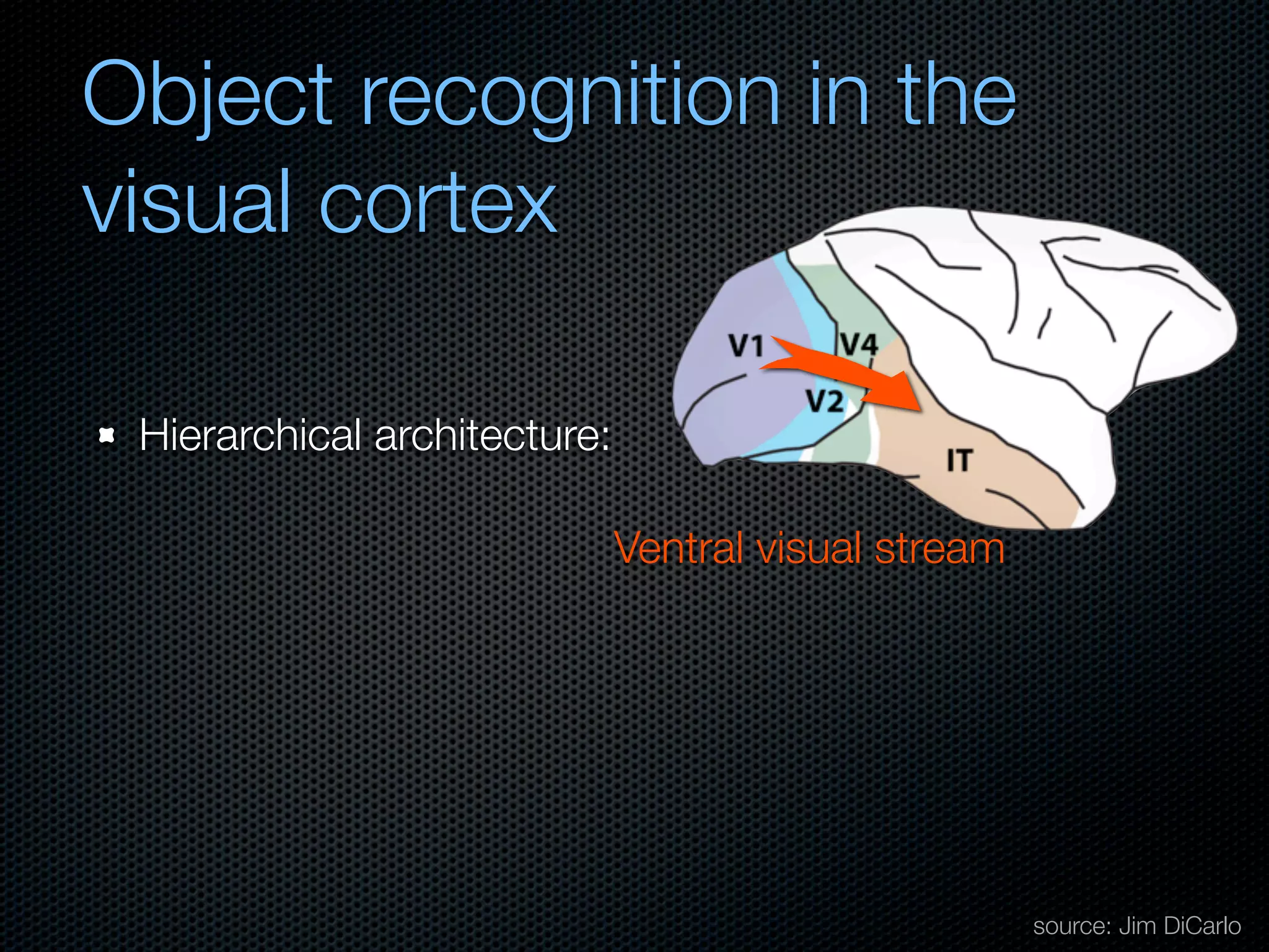 Mechanisms of bottom-up and top-down processing in visual perception
