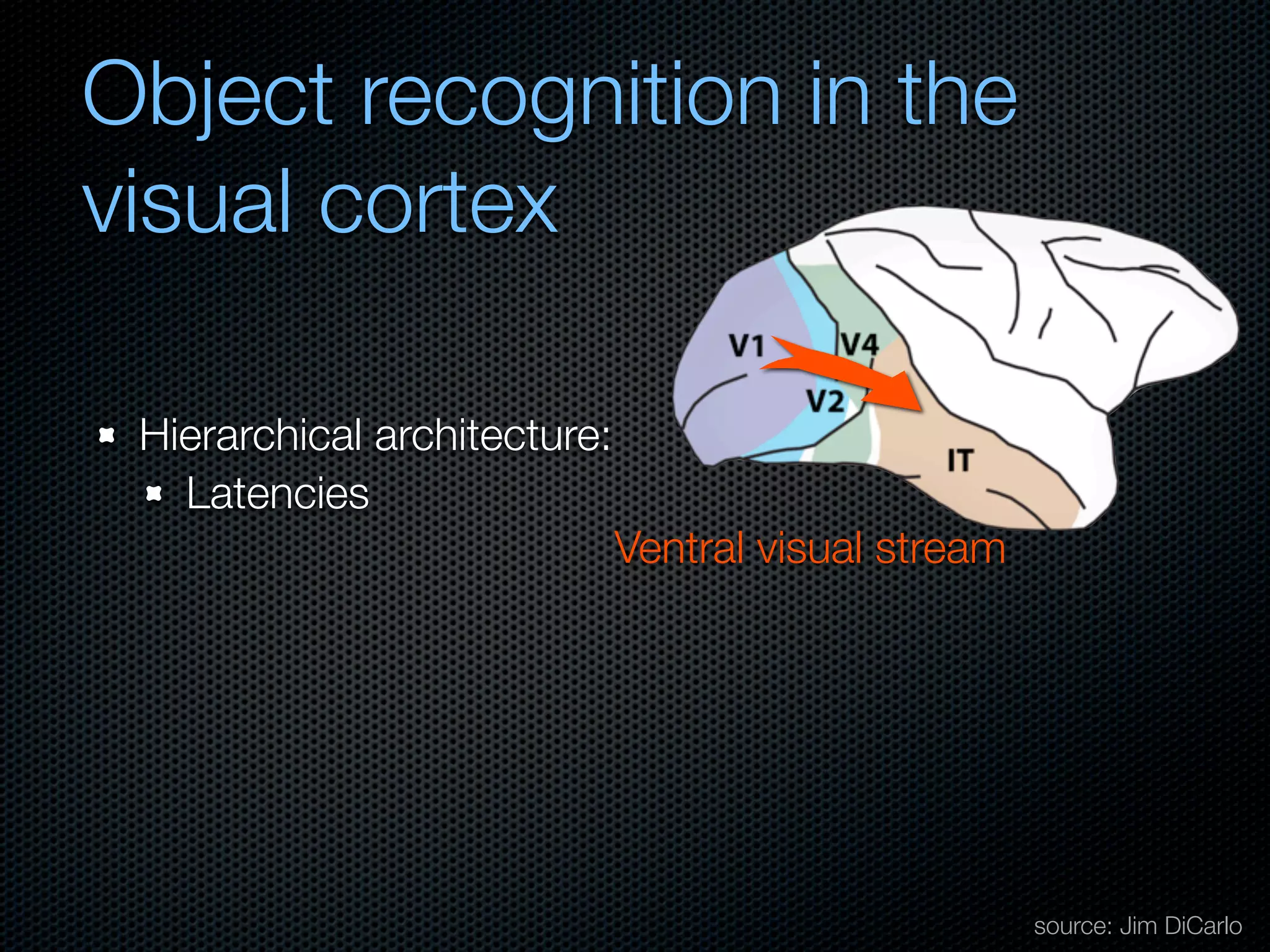 Mechanisms of bottom-up and top-down processing in visual perception