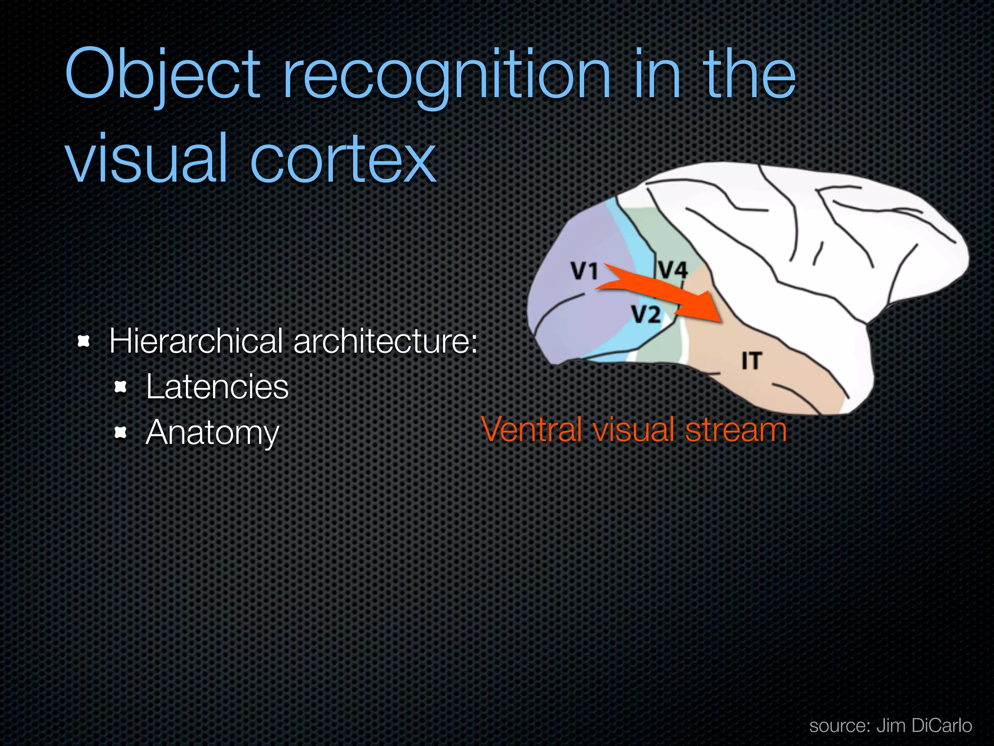 Mechanisms of bottom-up and top-down processing in visual perception