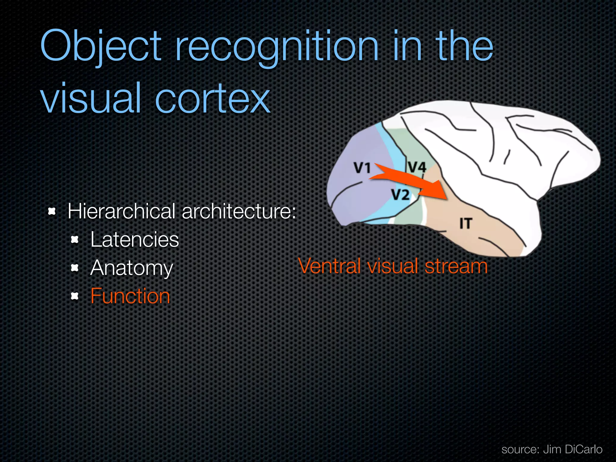Mechanisms of bottom-up and top-down processing in visual perception