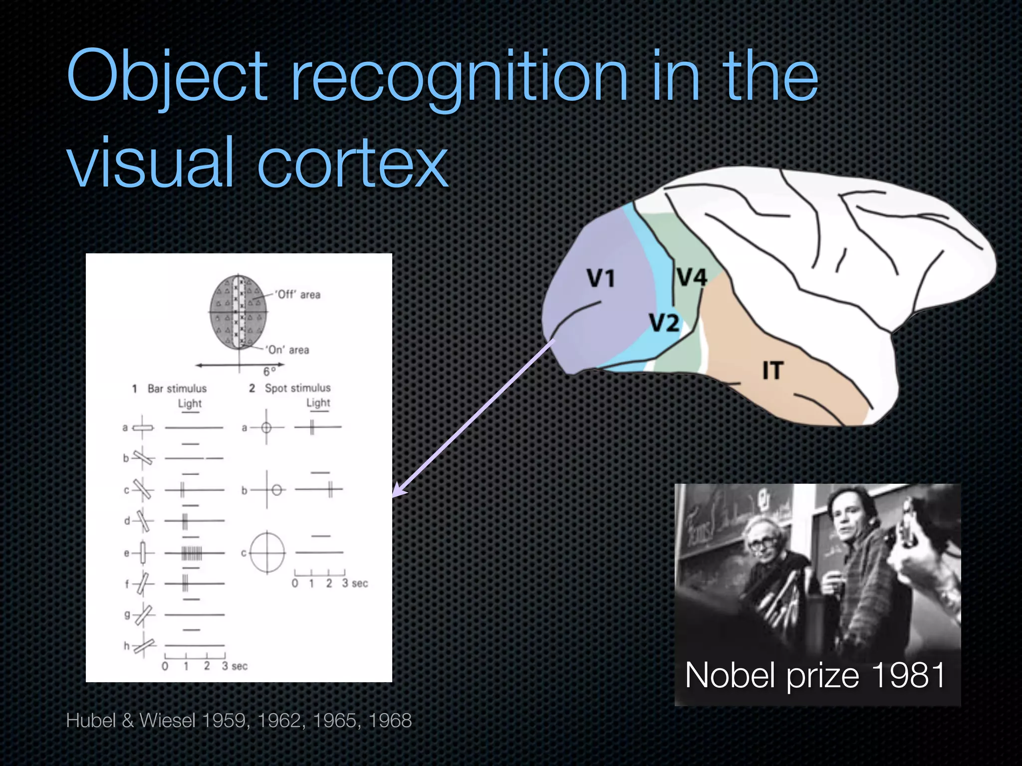 Mechanisms of bottom-up and top-down processing in visual perception